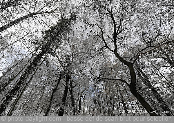 parc de Cointe sous la neige